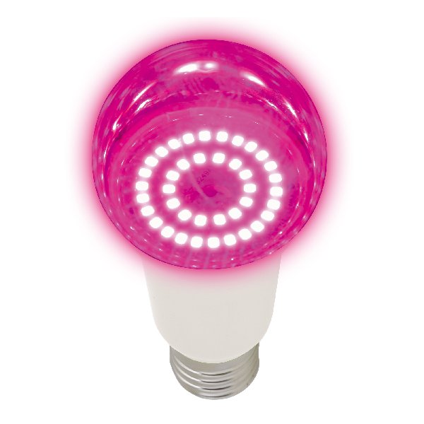 Лампа LED Е27 Груша 220В   14Вт Розовый спектр D60х110мм Прозрачная колба 220º ФИТО Uniel