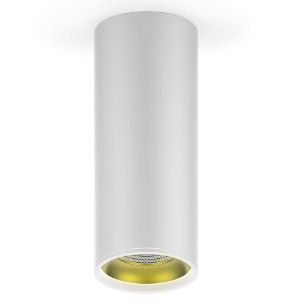 Светильник Накладной Цилиндр LED 1х12Вт 3000К Белый-Золото 79x100мм 105º IP 20 Gauss