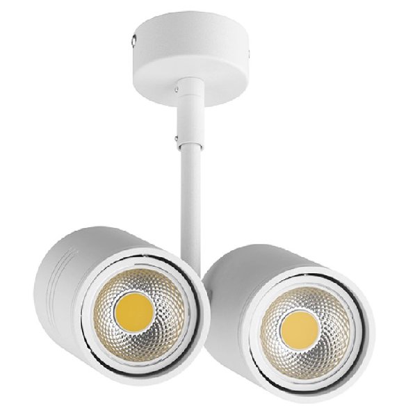 Светильник Точечный Накладной GU10х2 Белый 175х130х80 IP20 Rullo Lightstar
