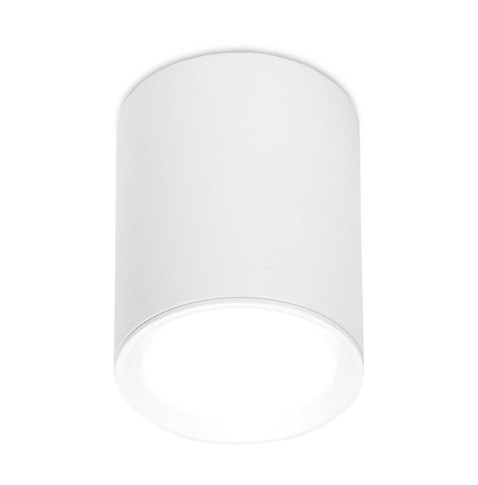 Светильник Накладной Цилиндр 1хGU5.3 Белый D56х70мм IP20 TN215 WH/S Ambrella