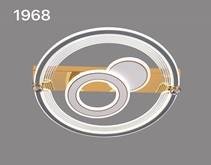 Люстра LED Круг 200Вт 3000-6000К Пульт ДУ Белый-Хром D500х80мм REDIGLE (5)