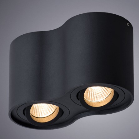 Светильник Накладной Черный A5645PL-2BK 2x50Вт GU10 IP44 Arte Lamp Falcon