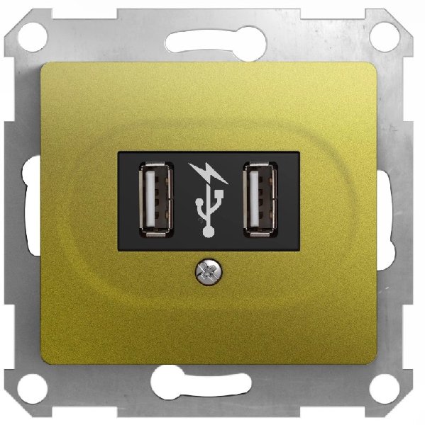 Розетка В Рамку Одинарная USBх2 Фисташковый IP20   GLOSSA Schneider Electric