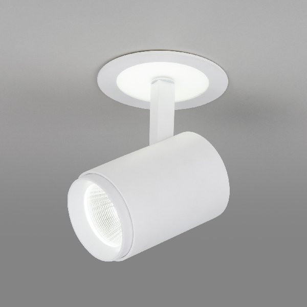 Светильник Врезной Разнонаправляемый 9Вт Белый Матовый 6500K 700Лм D90мм IP20 DSR002 ES