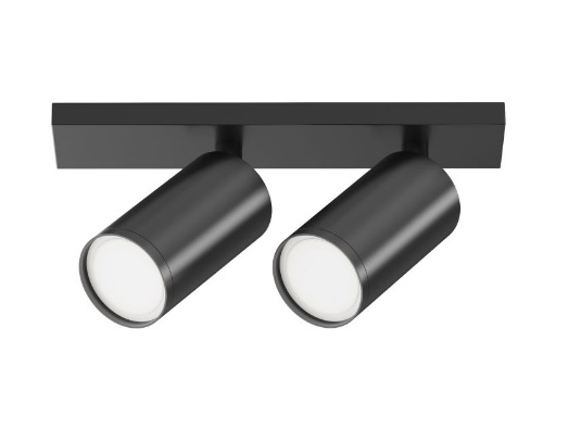 Потолочный светильник Technical C051CL-U-2B