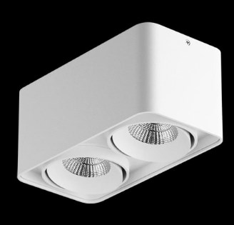 Светильник Накладной Поворотный LED 2х  10Вт 4200K  Белый 195x100х90мм  IP65 MONOCCO Lightstar