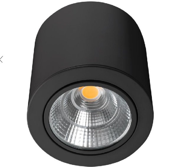 Светильник SP-FOCUS-R140-30W Day4000 (BK, 24 deg, 230V)