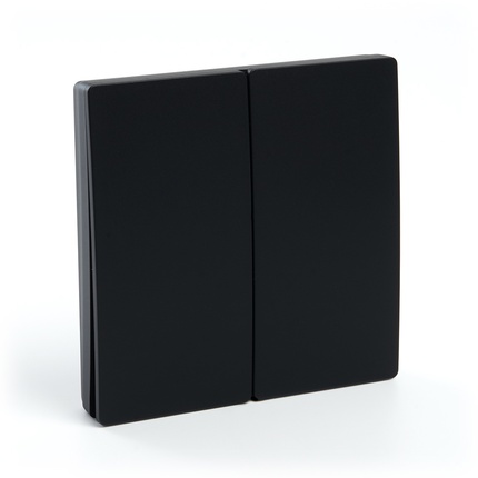 Радиовыключатель Двухклавишный Черный IP20 FERON