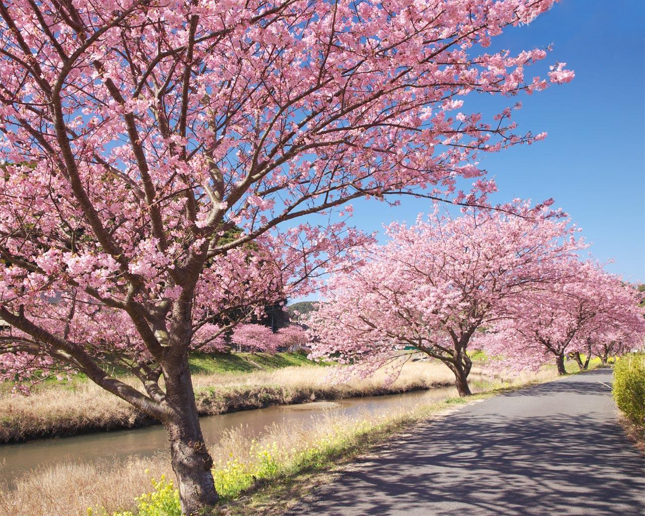 Как магазины работают в праздники. Весна