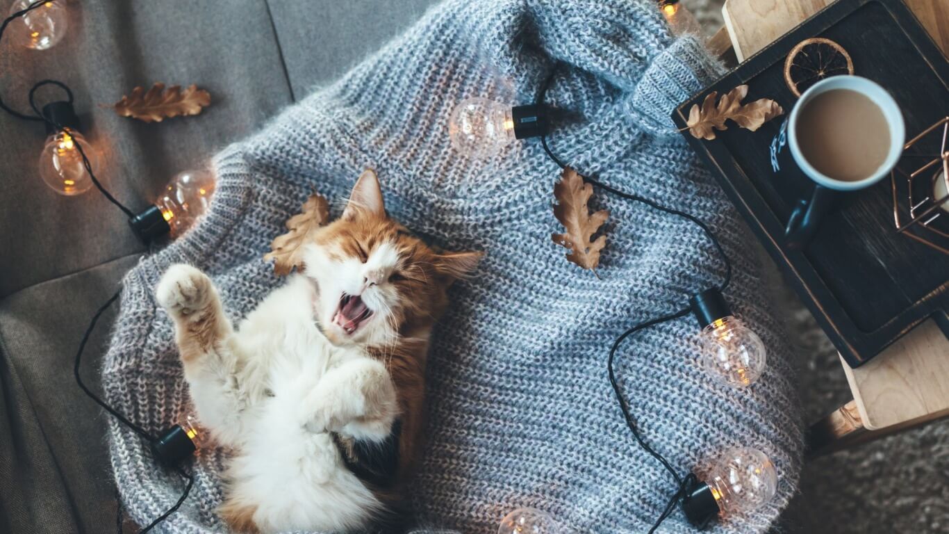 Новинки освещения октябрь 2022