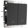 Выключатель для Жалюзи В Рамку Двухклавишный  Черный IP20 10А 250В  Werkel