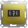 Розетка В Рамку Одинарная USBх2 Фисташковый IP20   GLOSSA Schneider Electric