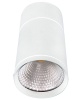 Светильник Разнонаправляемый LED 1х  30Вт 4200К Белый 95х136мм 38º IP20 WC1330 Svetlon